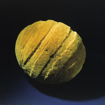 ANIMA B, 2002 — skulptura Jurija Dobrile