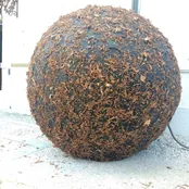 The presence of sphere, fotografija 5 od 5