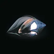 ANIMA IV, fotografija 2 od 6