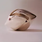 ANIMA IV, fotografija 5 od 6